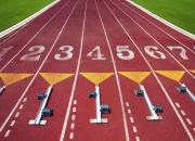 德约科维奇官方宣布夺冠新规，勇士引发争议！赛场气氛高涨